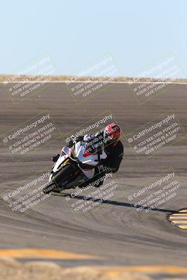 media/Jan-13-2024-SoCal Trackdays (Sat) [[9c032fe5aa]]/Bowl Exit Set 2 (1135am)/